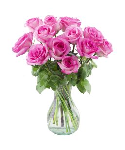 Florazone Velvet Pink Fresh Flowers Roses